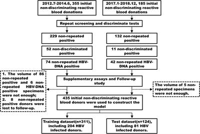 Establishing a screening strategy for non-discriminatory reactive blood donors by constructing a predictive model of hepatitis B virus infection status from a single blood center in China
